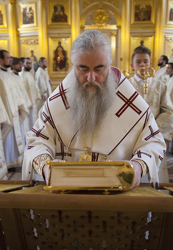 003_2017_11_5_16_32_8_1714261101