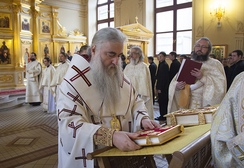 004_2017_11_5_16_32_8_1498302033