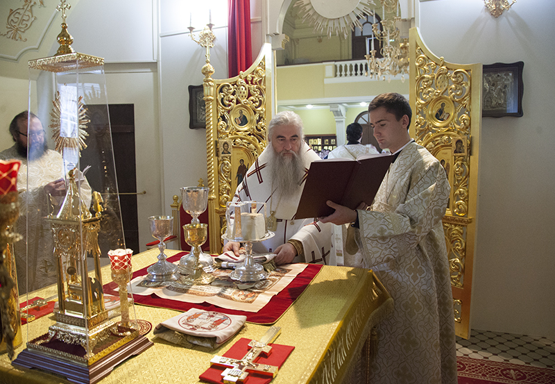 033_2017_11_5_16_32_12_806794628