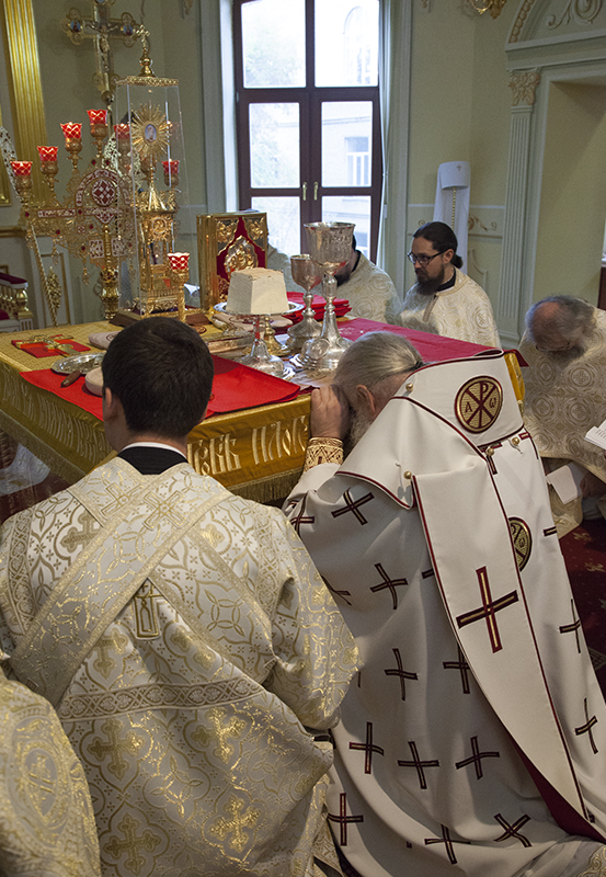 042_2017_11_5_16_32_13_959468223