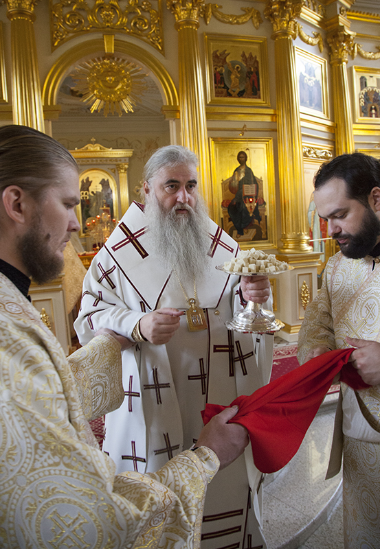 046_2017_11_5_16_32_13_708564446