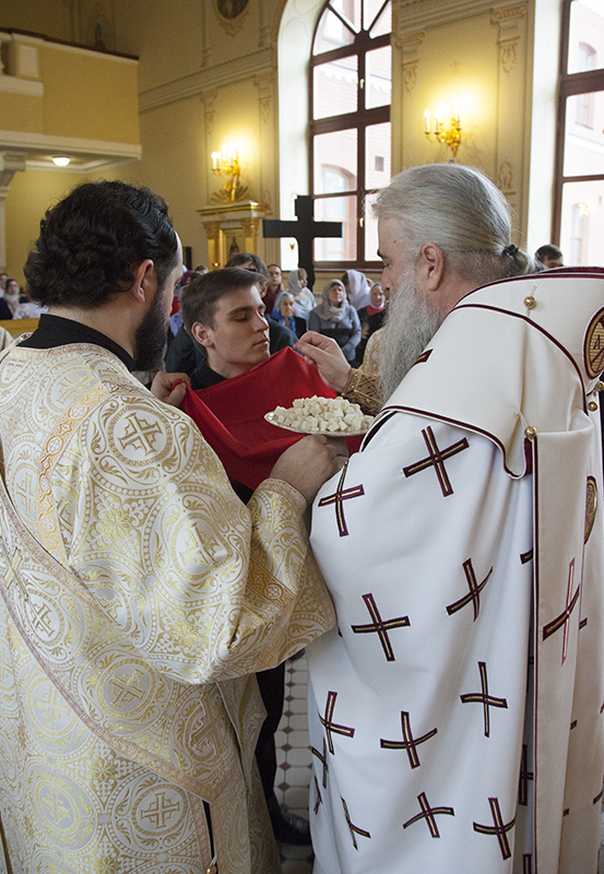 049_2017_11_5_16_32_14_889578804